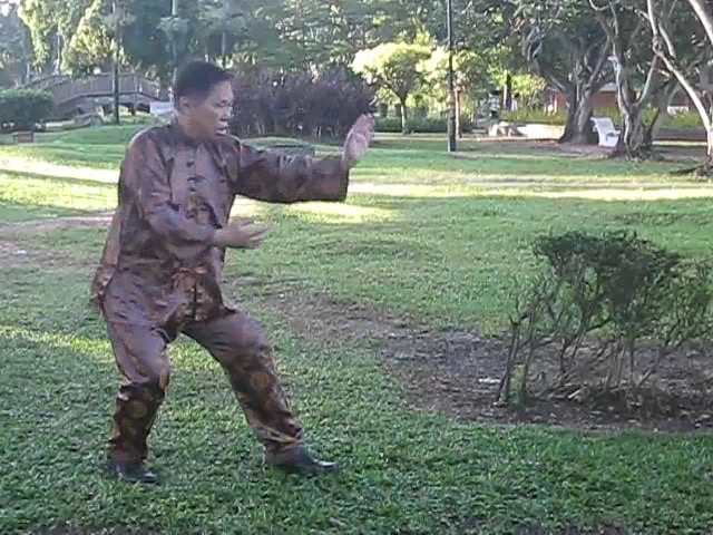 Wu Chuan You Style Taijiquan